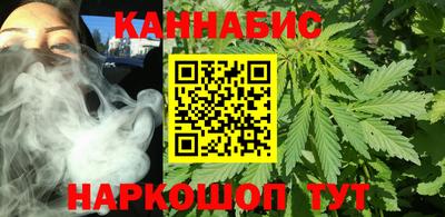 сатива Бийск