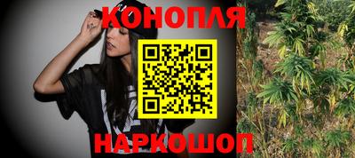 крисы Берёзовский