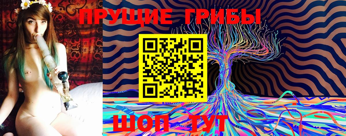 Псилоцибиновые грибы мицелий Клинцы