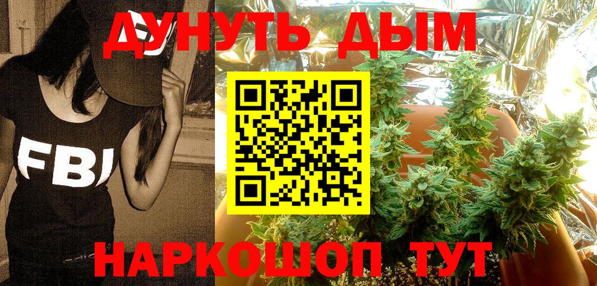 Канабис конопля  Канабис SATIVA & INDICA  Вход с VPN  Бошки Шишки Amnesia  Клинцы 
